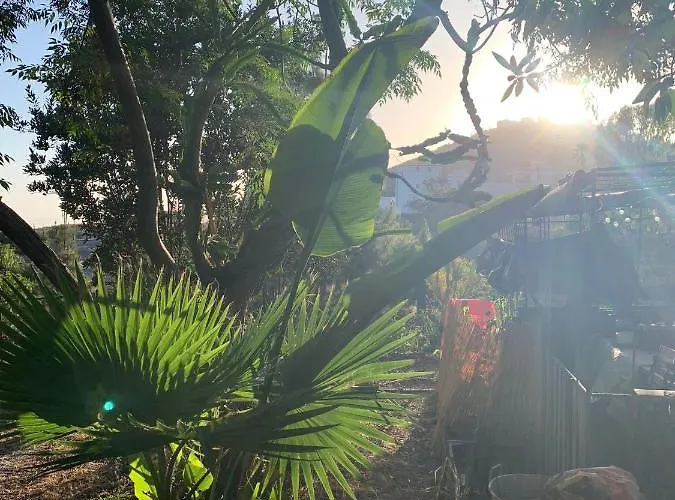 Apartament Stilvolle In Teneriffa Sued