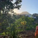 Stilvolle In Teneriffa Sued *