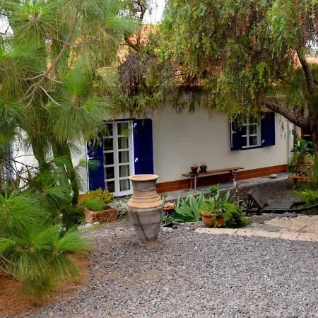 Apartament Stilvolle In Teneriffa Sued *