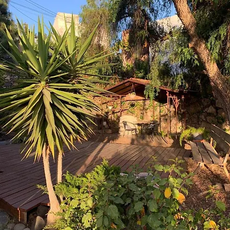 Stilvolle In Teneriffa Sued * Arona (Tenerife)