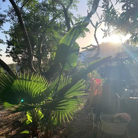 Apartament Stilvolle In Teneriffa Sued