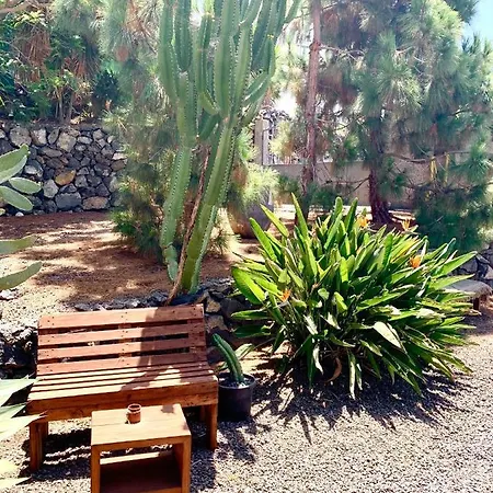 Apartamento Stilvolle In Teneriffa Süd